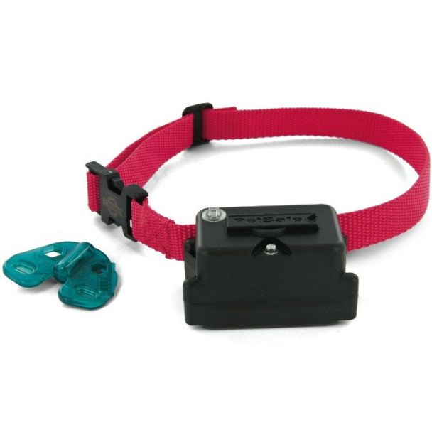 PetSafe Stubborn Dog Extra Receiver Collar [ PIG19-10763 ]