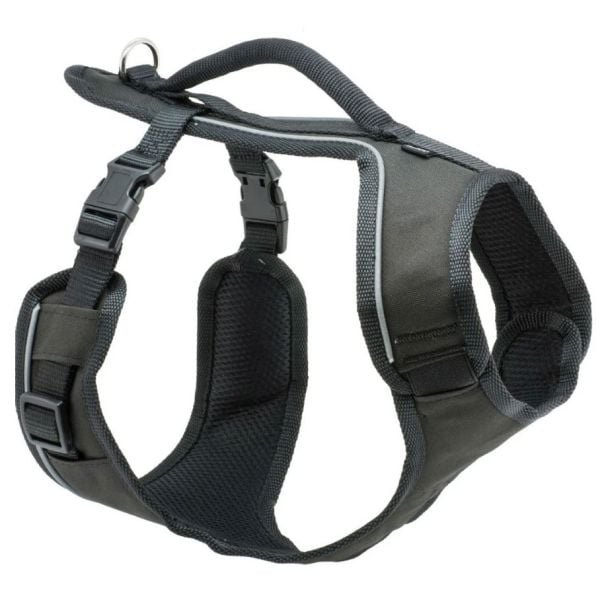 PetSafe EasySport Dog Harness in Black Large [ ESPH-L-BK-19 ]