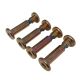 Hills Chicago Bolts 24mm 4 Pack for Hills Clotheslines [ 2747244 ]