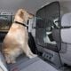 PetSafe Car Front Seat Mesh Barrier for Dogs [ 62338 ]