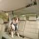 Kurgo Auto Zip Line / Tether for Dog Car Travel [ K00032 ]