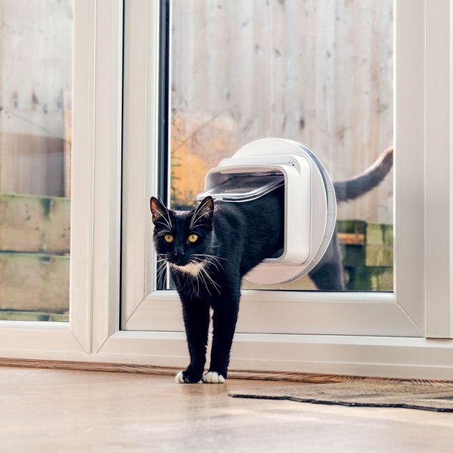 SureFlap Microchip Connect Electronic Cat Door Cat Flap